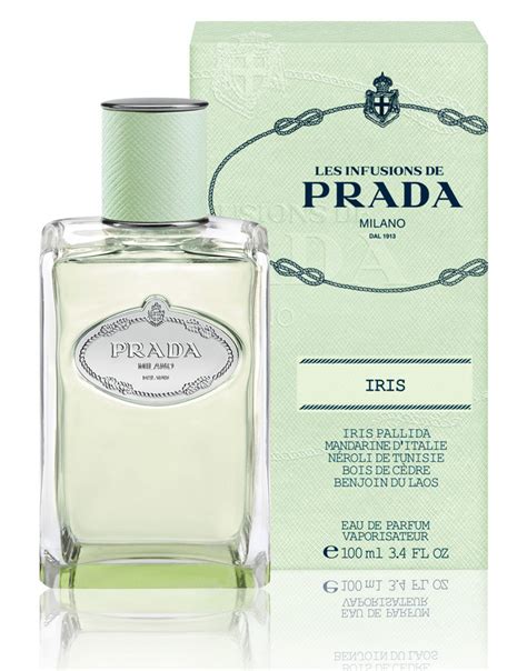 prada iris fragrantica